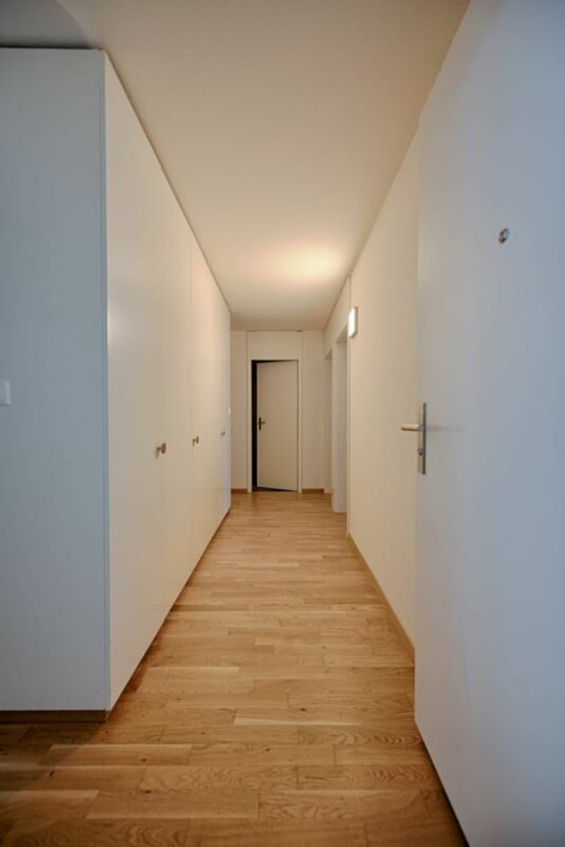 Appartamento 3.5 locali con bella vista sulla montagna nel quartiere di Kalkofen cercato? (10)