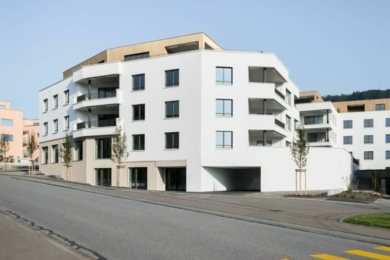 Appartamento attraente di 3,5 locali nel centro di Eschenbach cerca un subaffittuario (1)