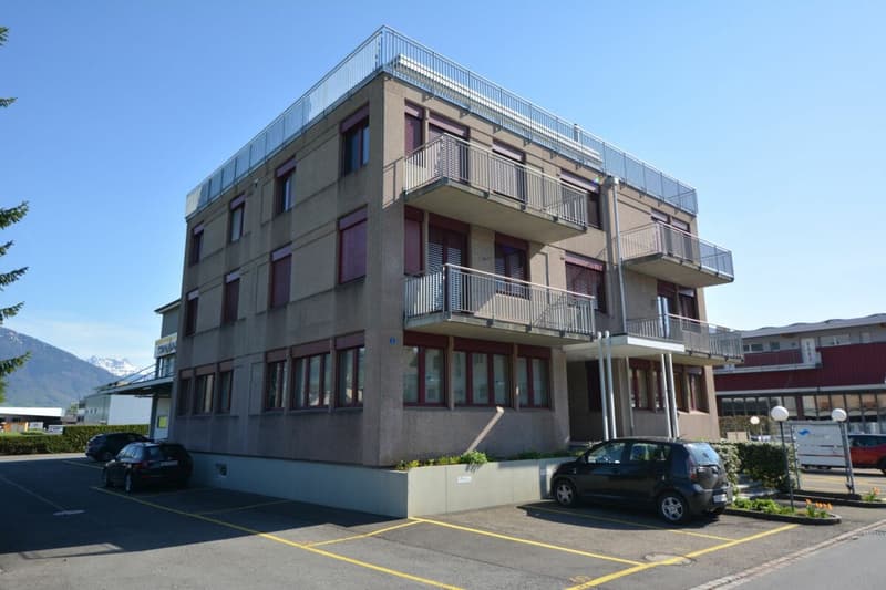 Freshly renovated 4.5-room apartment for rent (15)