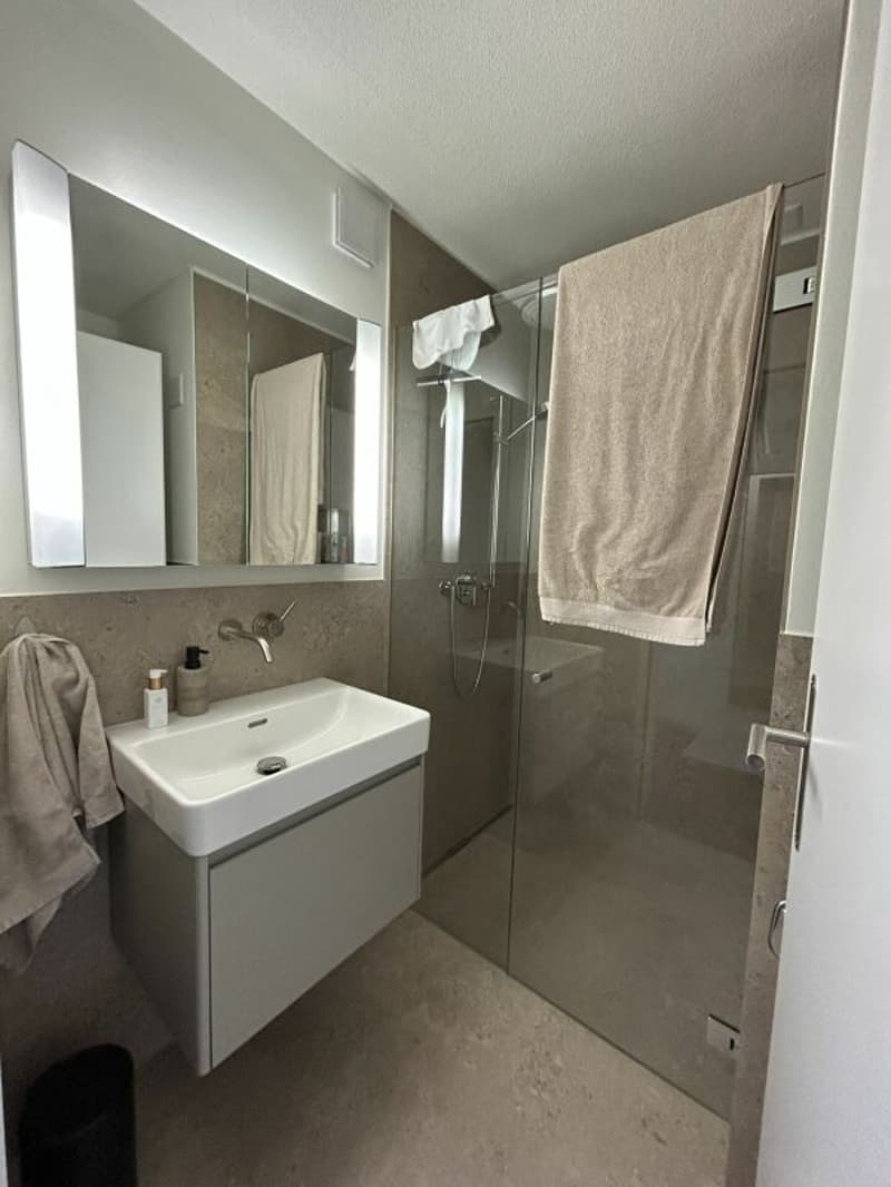 Freshly renovated 4.5-room apartment for rent (11)