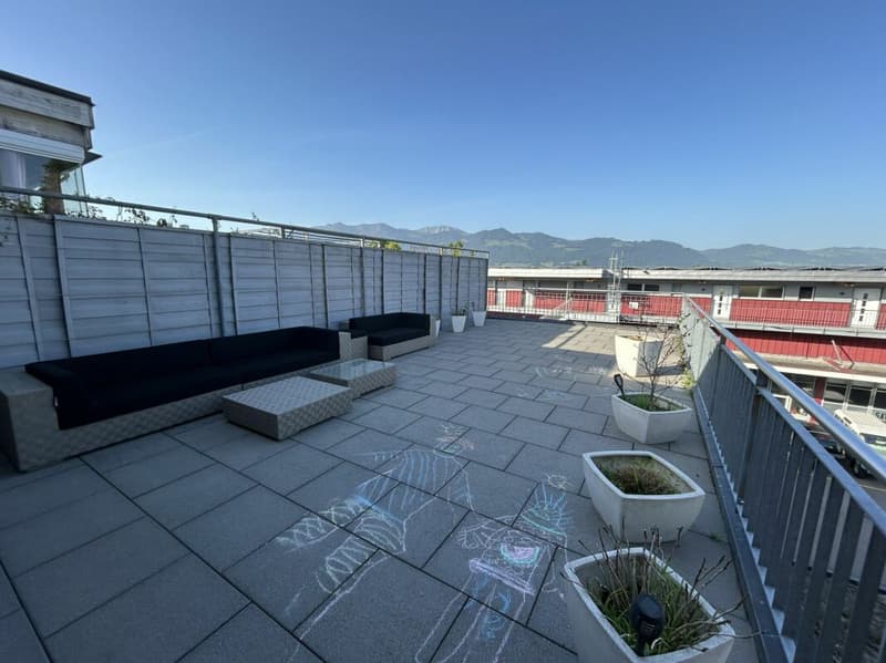 Freshly renovated 4.5-room apartment for rent (13)
