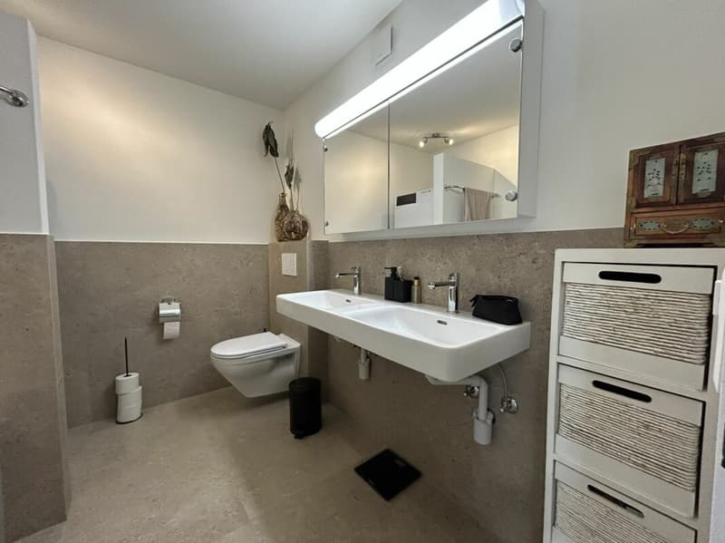 Freshly renovated 4.5-room apartment for rent (9)