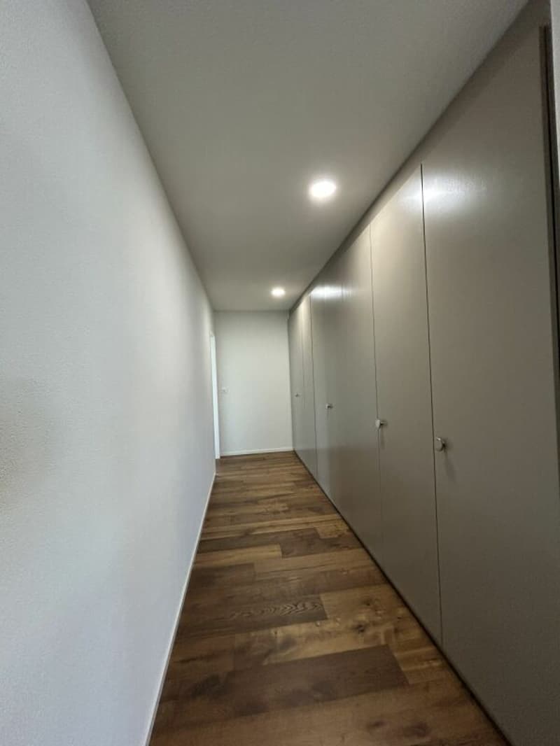 Freshly renovated 4.5-room apartment for rent (8)