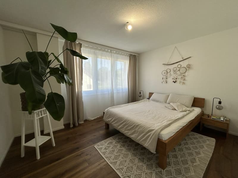 Freshly renovated 4.5-room apartment for rent (4)