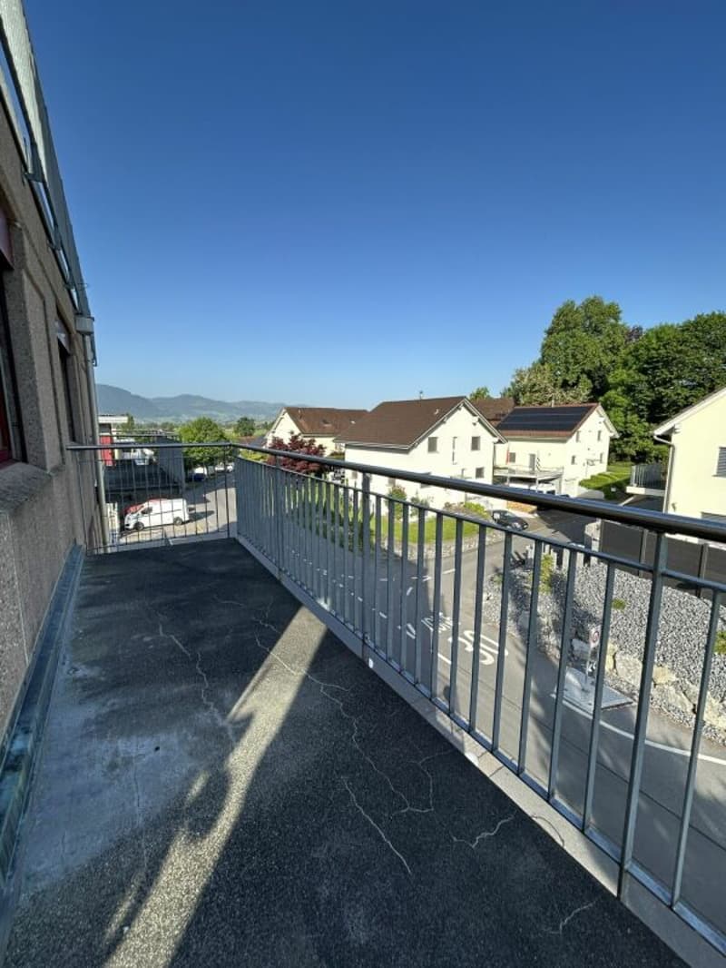 Freshly renovated 4.5-room apartment for rent (14)