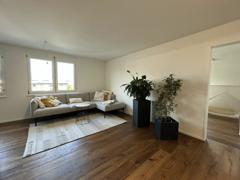Freshly renovated 4.5-room apartment for rent (3)
