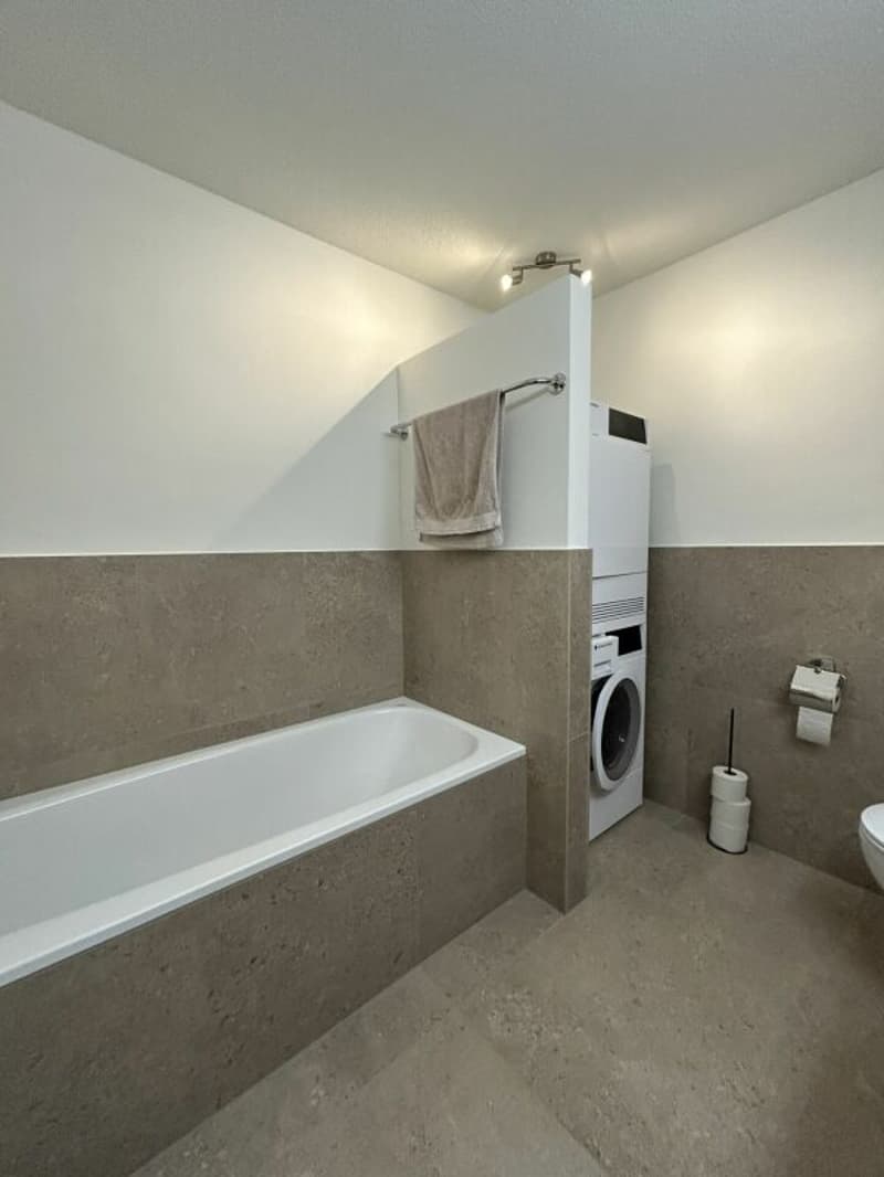Freshly renovated 4.5-room apartment for rent (10)