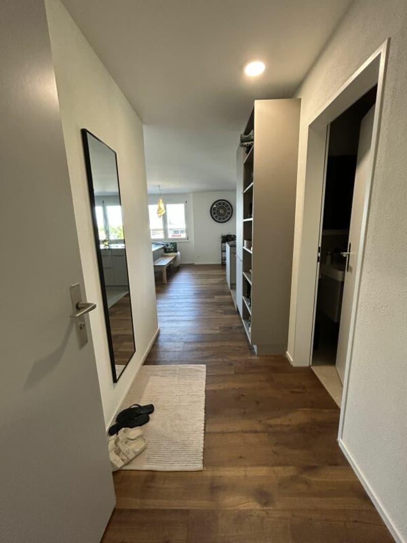 Freshly renovated 4.5-room apartment for rent (7)