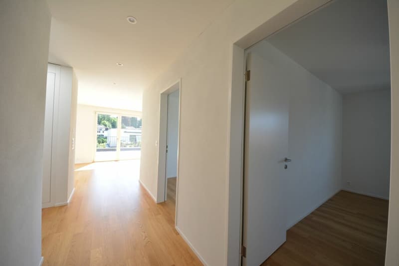 Attraktive 3.5-Zimmer Attikawohnung in Stadtnähe zu vermieten (10)