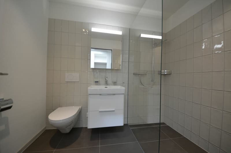 Attraktive 3.5-Zimmer Attikawohnung in Stadtnähe zu vermieten (13)