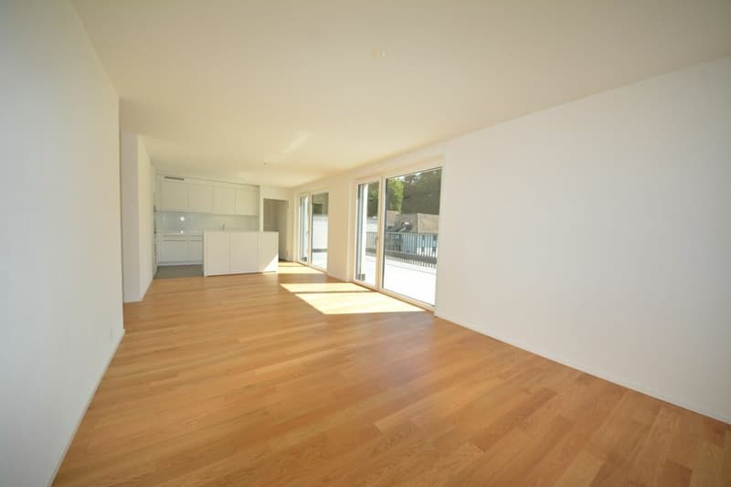 Attraktive 3.5-Zimmer Attikawohnung in Stadtnähe zu vermieten (6)