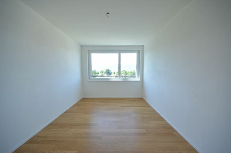 Attraktive 3.5-Zimmer Attikawohnung in Stadtnähe zu vermieten (9)