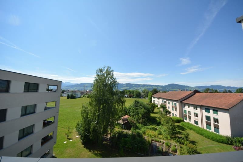 Attraktive 3.5-Zimmer Attikawohnung in Stadtnähe zu vermieten (17)