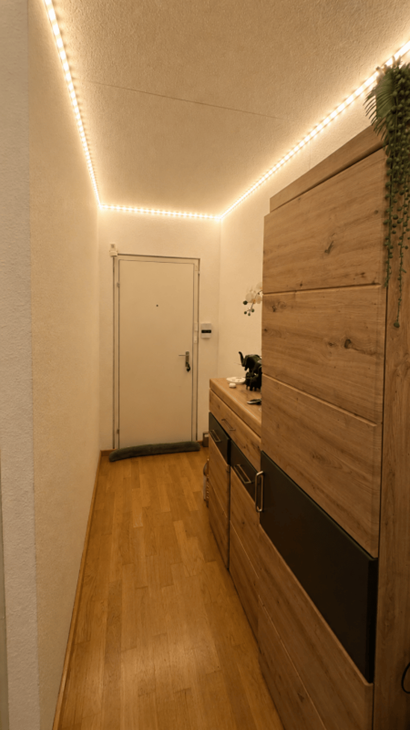 Röhrliberg - à Cham: appartement 2.5 pièces avec vue imprenable vous cherche! (6)