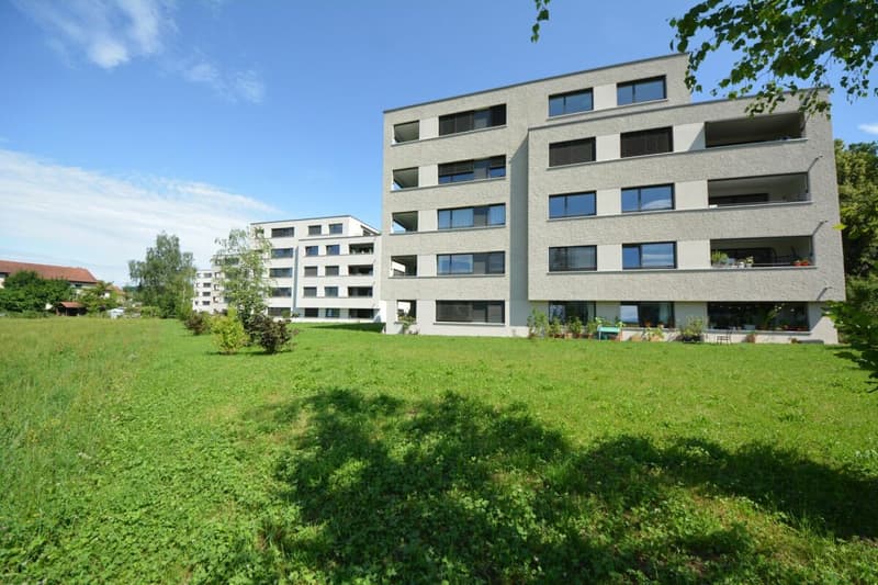 Moderne 2.5-Zimmer an beliebter Lage sucht Nachmieter (1)