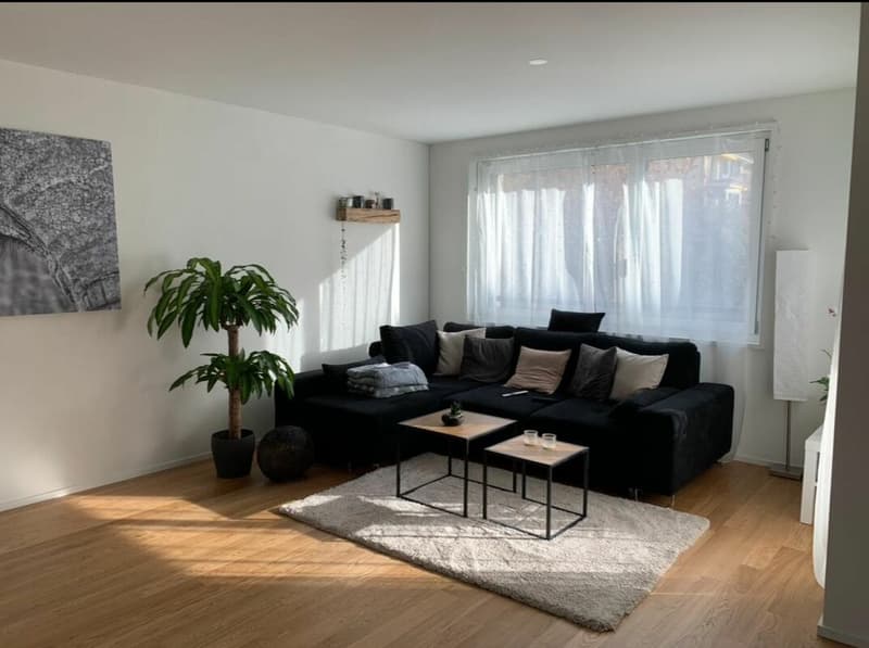 Moderne 2.5-Zimmer an beliebter Lage sucht Nachmieter (2)