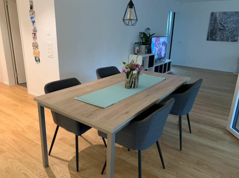 Moderne 2.5-Zimmer an beliebter Lage sucht Nachmieter (5)