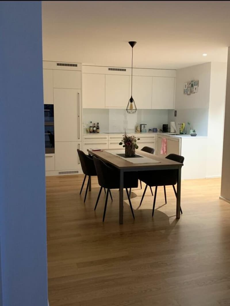 Moderne 2.5-Zimmer an beliebter Lage sucht Nachmieter (6)