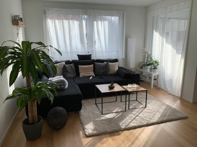Moderne 2.5-Zimmer an beliebter Lage sucht Nachmieter (4)