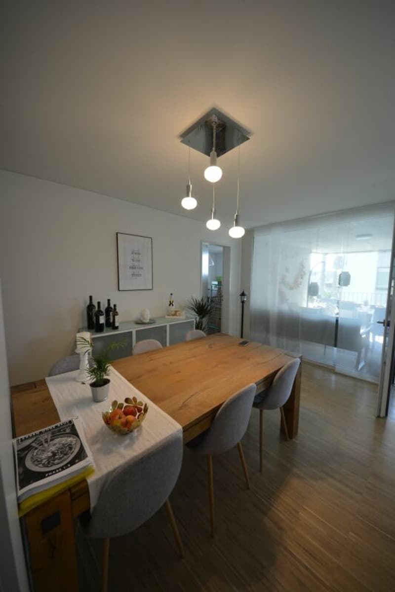 Modern 4.5-room apartment for rent in a family-friendly neighborhood (3)
