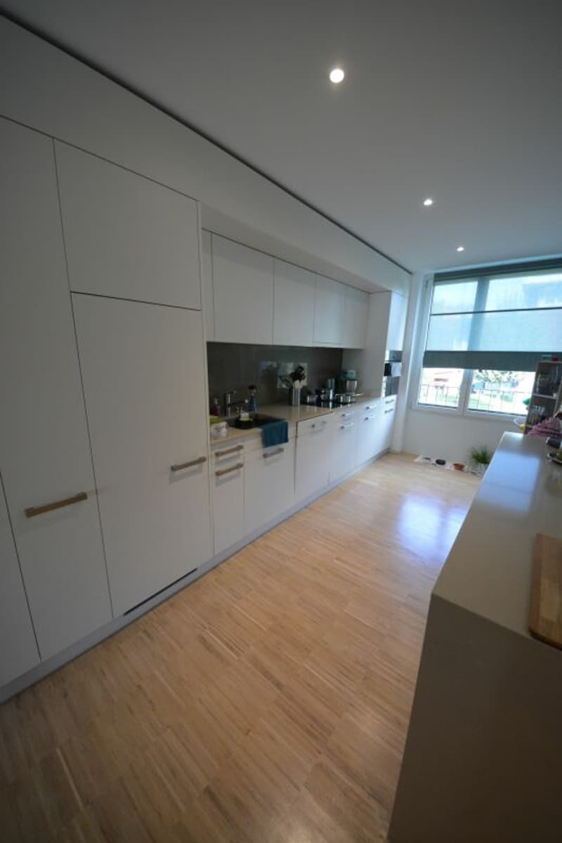 Modern 4.5-room apartment for rent in a family-friendly neighborhood (7)