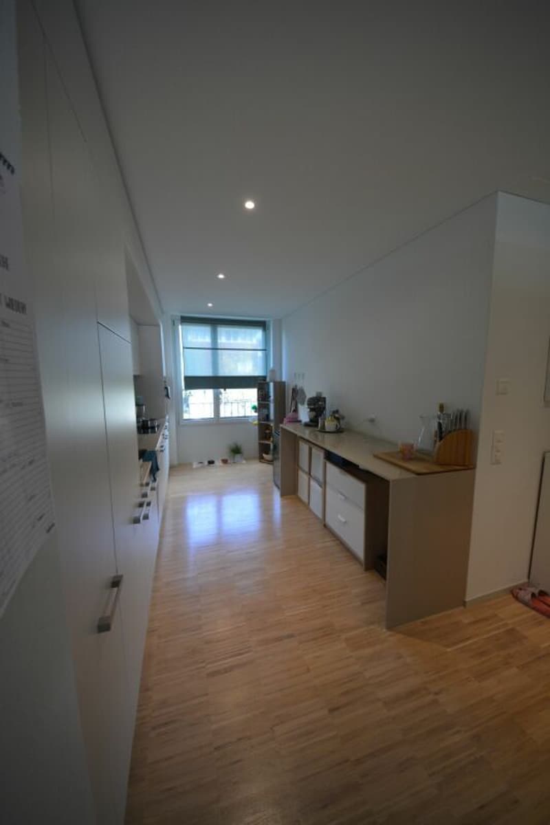 Modern 4.5-room apartment for rent in a family-friendly neighborhood (6)