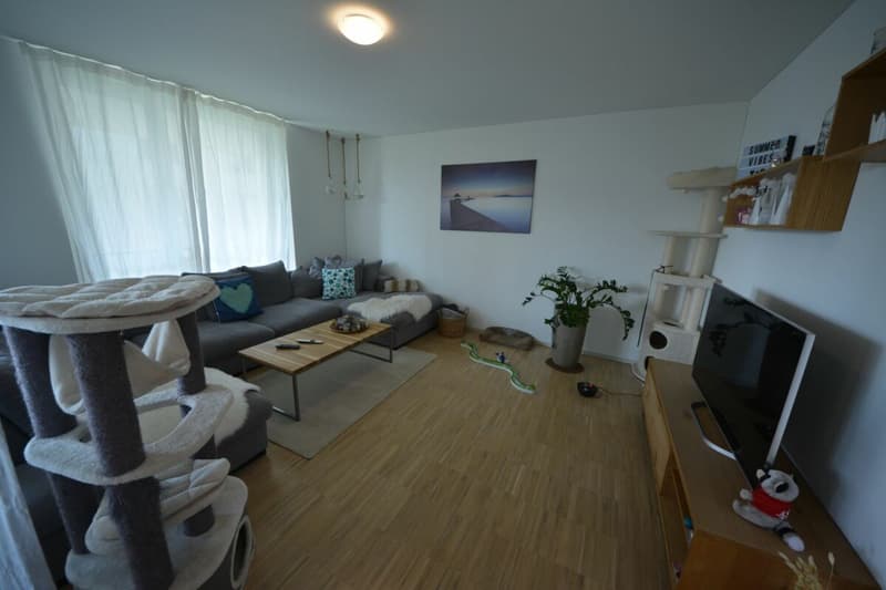 Modern 4.5-room apartment for rent in a family-friendly neighborhood (4)