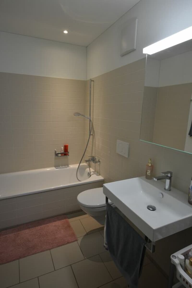 Modern 4.5-room apartment for rent in a family-friendly neighborhood (9)