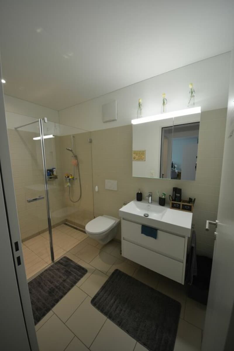 Modern 4.5-room apartment for rent in a family-friendly neighborhood (10)