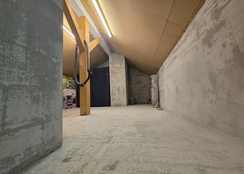 Appartement spacieux 3.5 pièces dans le développement Stadtrose (17)