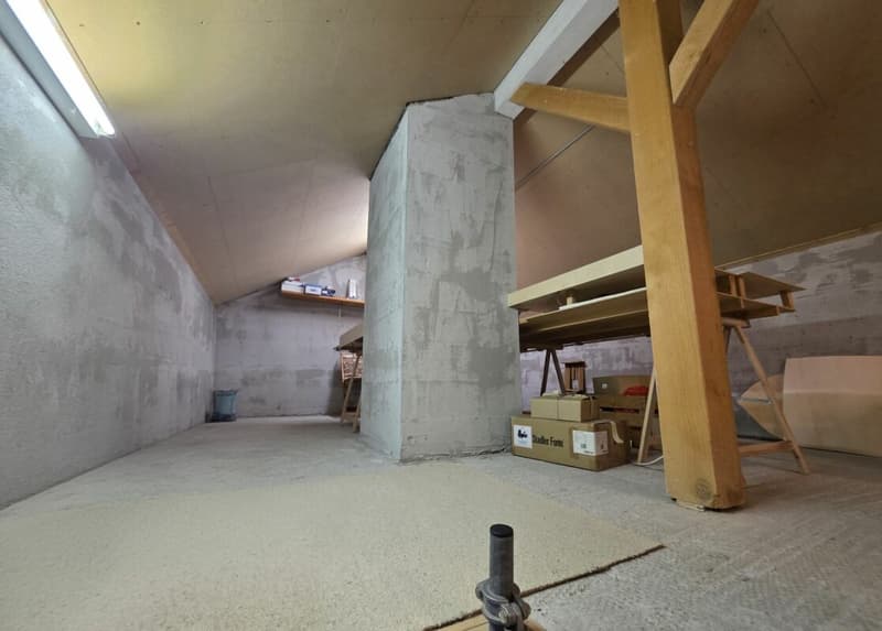 Appartement spacieux 3.5 pièces dans le développement Stadtrose (16)