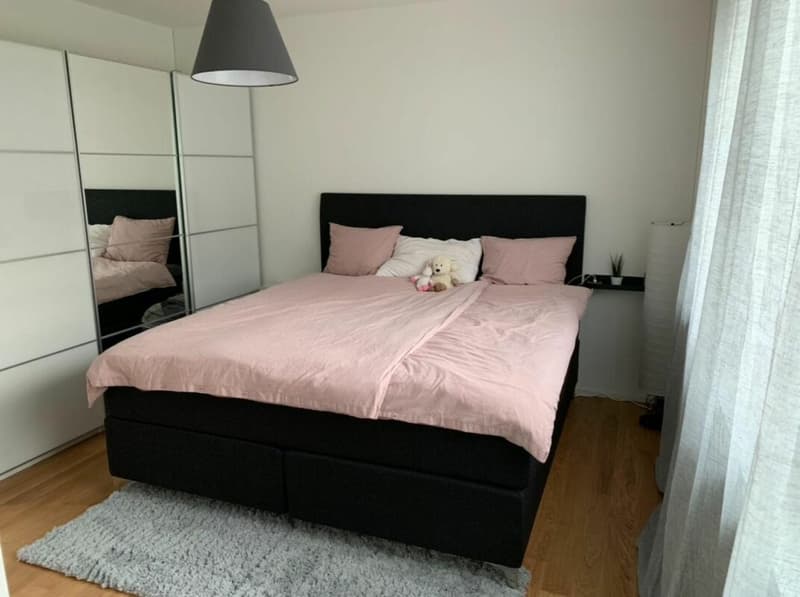 Moderne 2.5-Zimmer an beliebter Lage sucht Nachmieter (8)