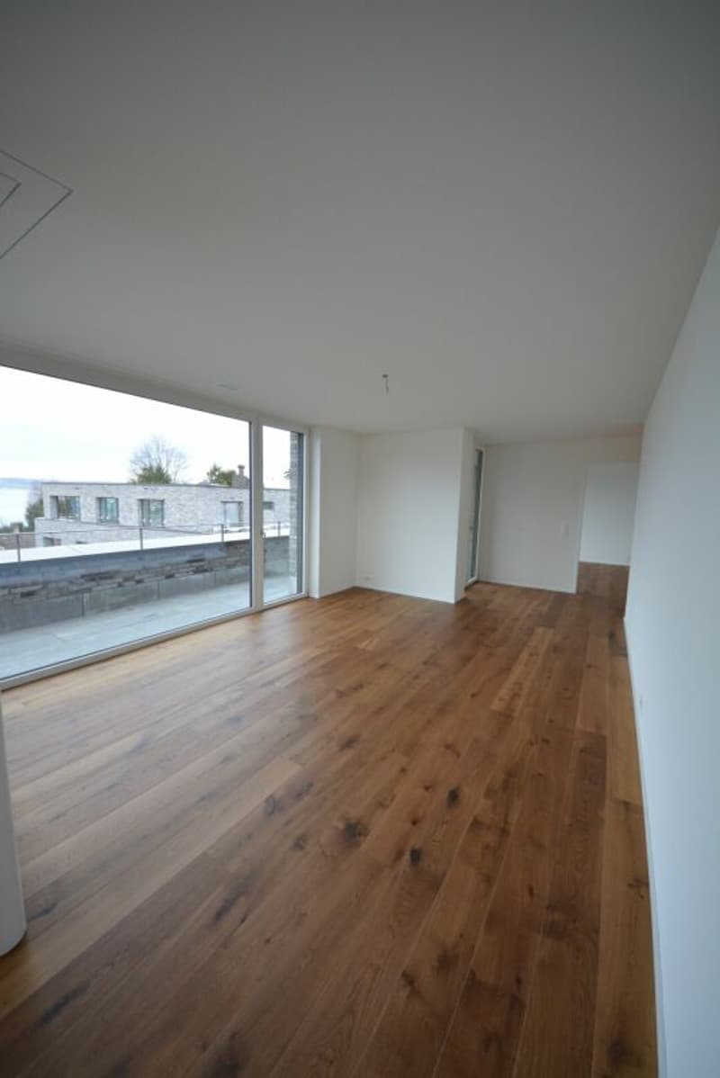 Einzigartige Seesicht - Attikatraum in der Kempratner Bucht gesucht? (10)