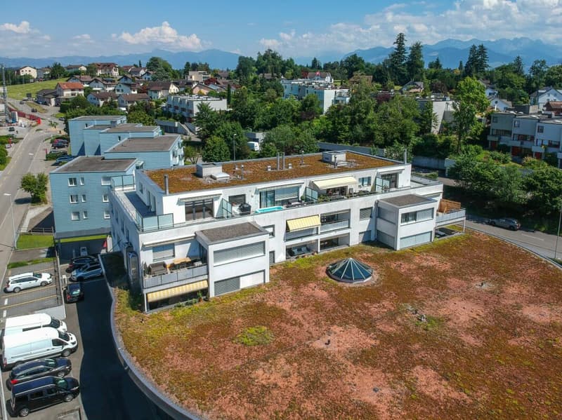 Grosszügige 4.5-Zimmer-Wohnung mit modernem Wohnkomfort (1)