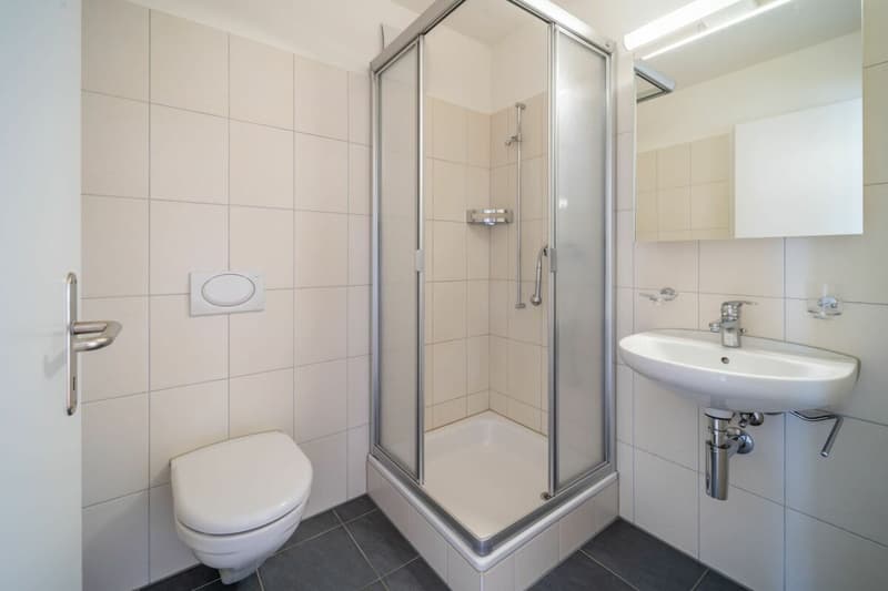 Grosszügige 4.5-Zimmer-Wohnung mit modernem Wohnkomfort (9)