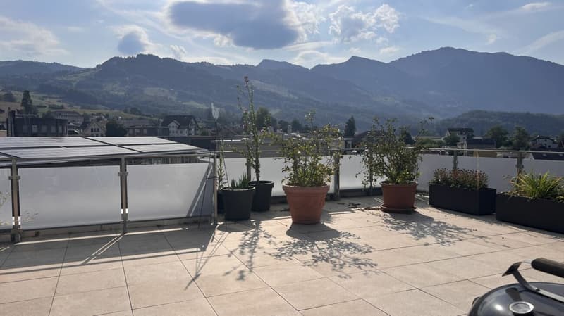 Grosszügige 5.5-ZW mit riesiger Terrasse wartet auf Sie! (1)