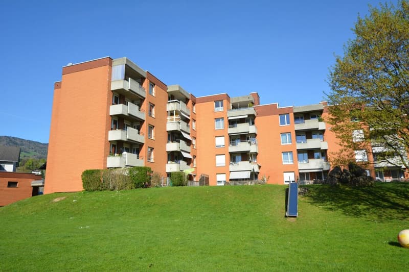 Grosszügige 5.5-ZW mit riesiger Terrasse wartet auf Sie! (15)
