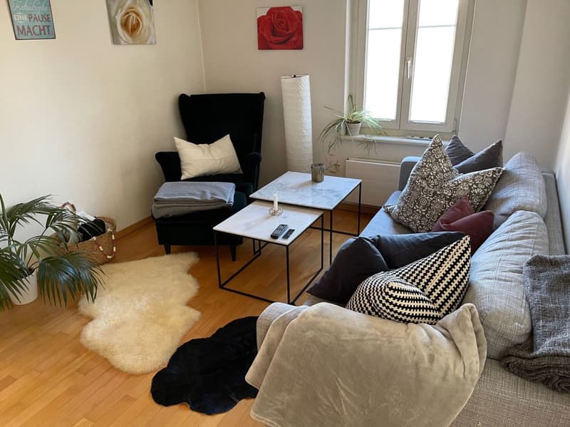 Charmante Wohnung in Mitten der Stadt Rapperswil sucht Sie! (2)