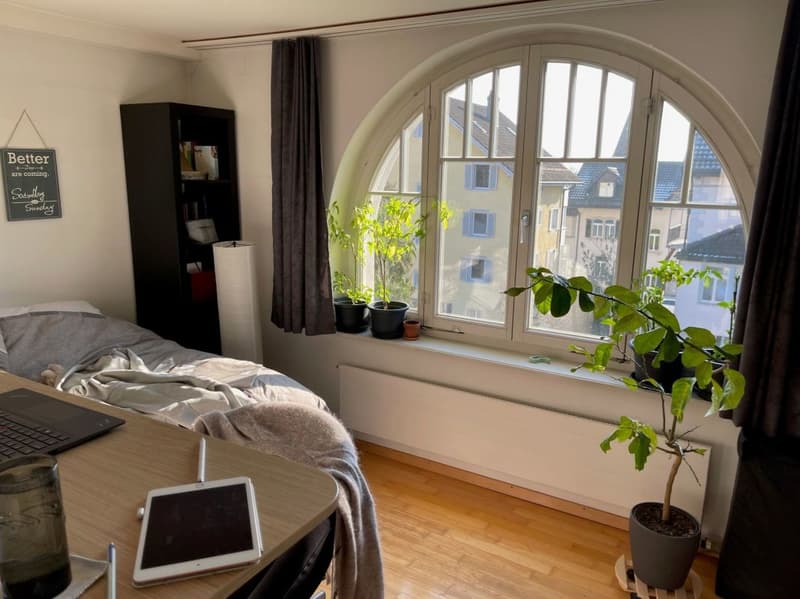 Charmante Wohnung in Mitten der Stadt Rapperswil sucht Sie! (4)