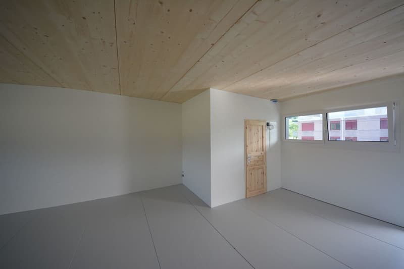 Atelier/Studio 60 m2 in Uznach zu vermieten (5)