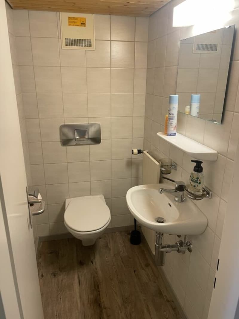 Entzückende Maisonettewohnung mit Ausblick auf den oberen Zürichsee! (6)