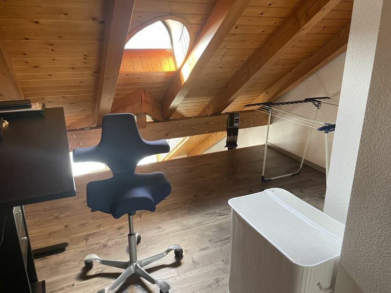 Entzückende Maisonettewohnung mit Ausblick auf den oberen Zürichsee! (9)