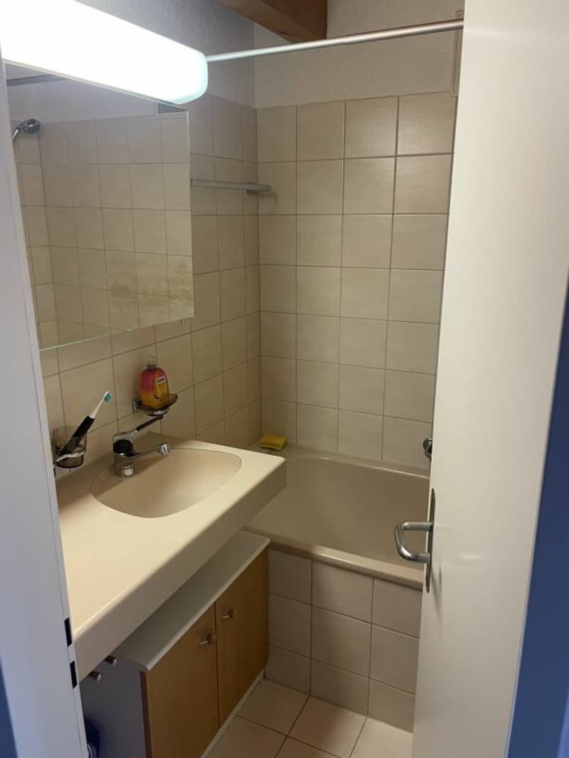 Entzückende Maisonettewohnung mit Ausblick auf den oberen Zürichsee! (5)