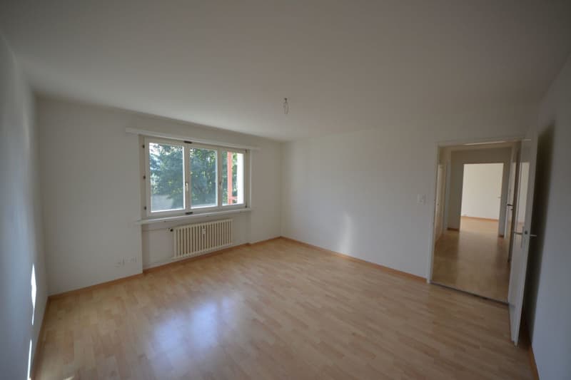 3-Zimmerwohnung mit herrlichem Bergblick sucht Nachmieter? (3)