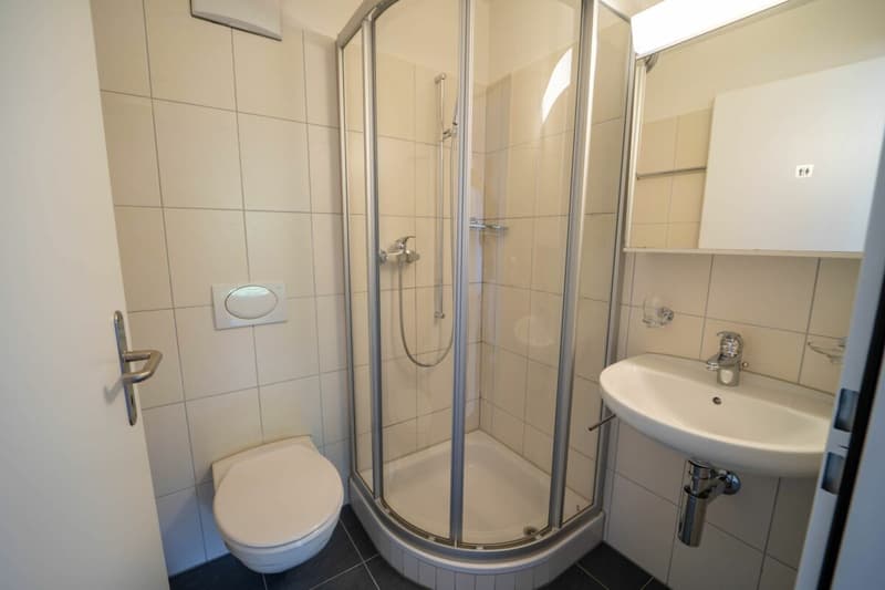 Grosszügige 3.5-Zimmer-Gartenwohnung mit modernem Wohnkomfort (10)