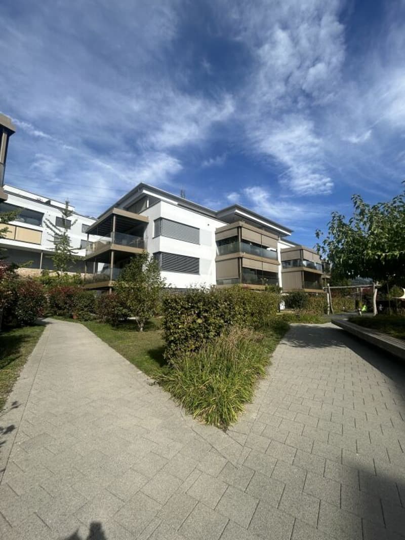 4.5- Zimmer-Attikawohnung im Eigentumsstandard gesucht? (17)