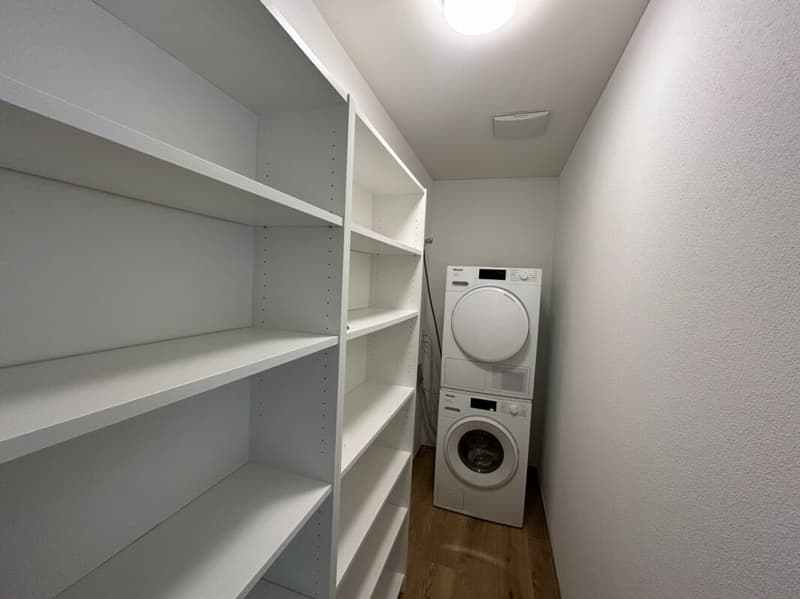 4.5- Zimmer-Attikawohnung im Eigentumsstandard gesucht? (16)