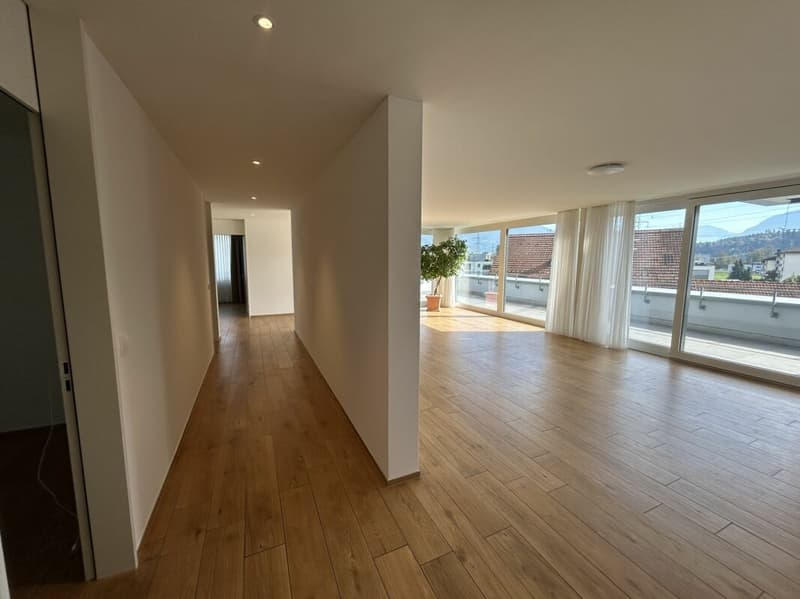 4.5- Zimmer-Attikawohnung im Eigentumsstandard gesucht? (8)