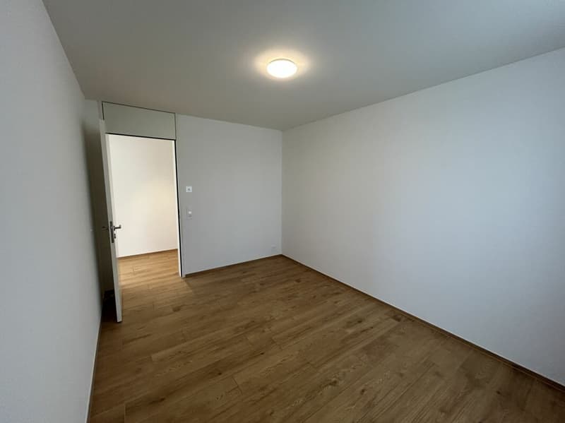 4.5- Zimmer-Attikawohnung im Eigentumsstandard gesucht? (14)