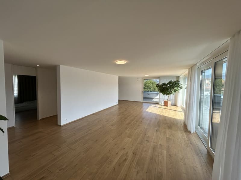 4.5- Zimmer-Attikawohnung im Eigentumsstandard gesucht? (4)